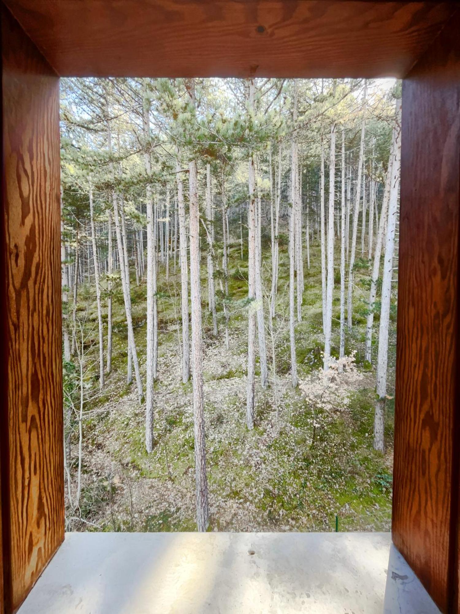 Hotel Garni Mille Pini Скано Екстериор снимка